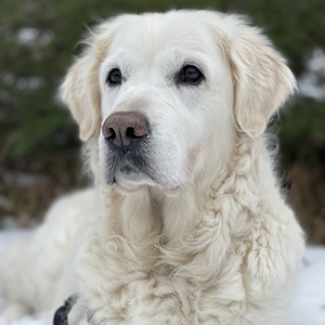 Fundraising Page: Sherry Martindale